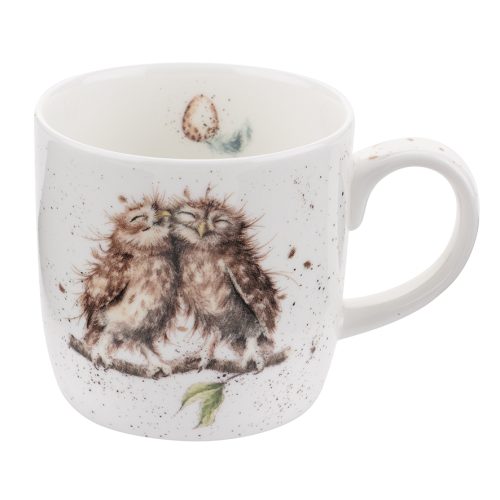 Birds of a Feather Owl China Mug - Wrendale Designs