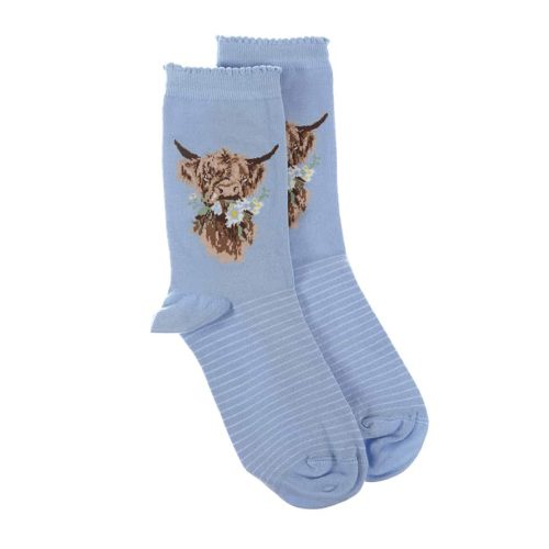 'Daisy Coo’ Blue Highland Cow Socks - Wrendale Designs