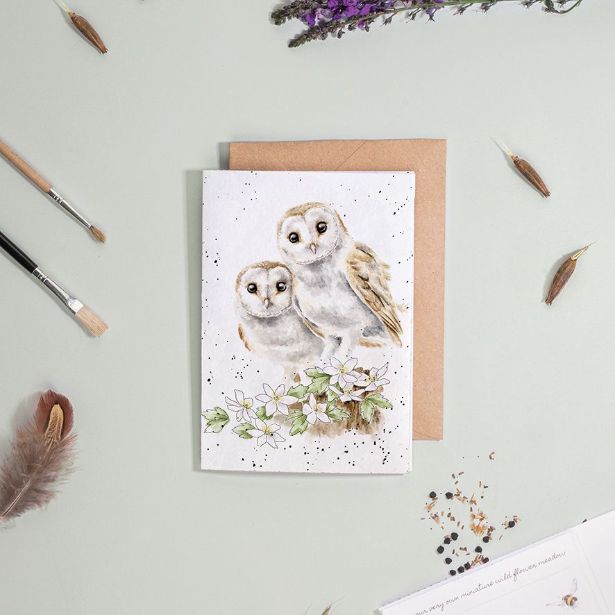 ‘Hooting For You‘ Owl Seed Card - Wrendale Designs