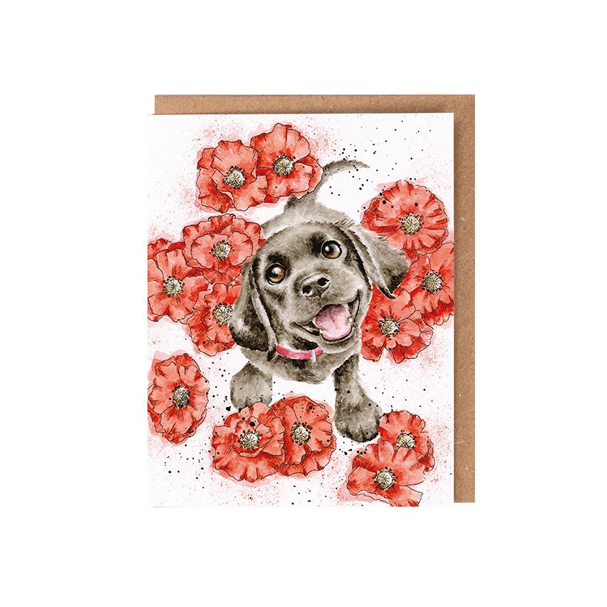 ‘Poppy Love' Labrador Dog Seed Card - Wrendale Designs
