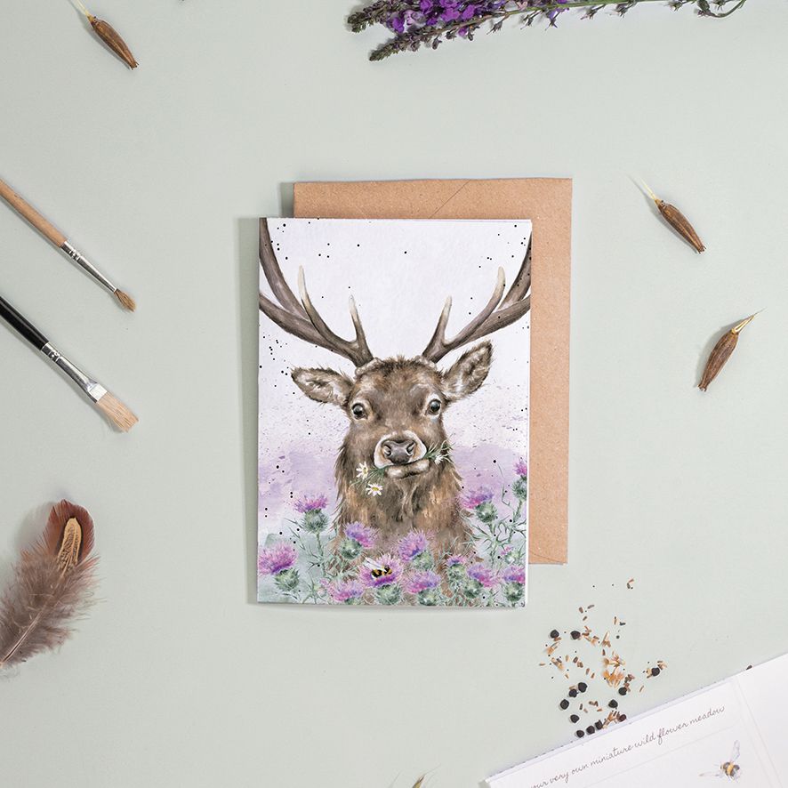 ‘Thistle Make You Smile' Stag Seed Card - Wrendale Designs