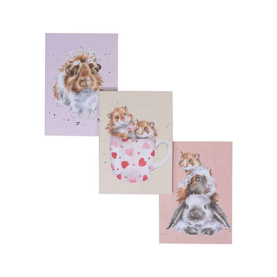 ‘Whiskers and Paws’ Animal Set of 3 Notebooks - Wrendale Designs