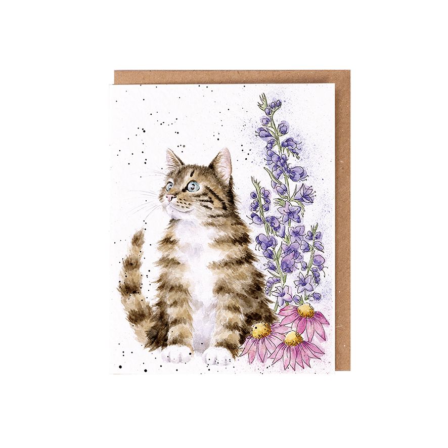 ‘Whiskers and Wildflowers' Cat Seed Card - Wrendale Designs